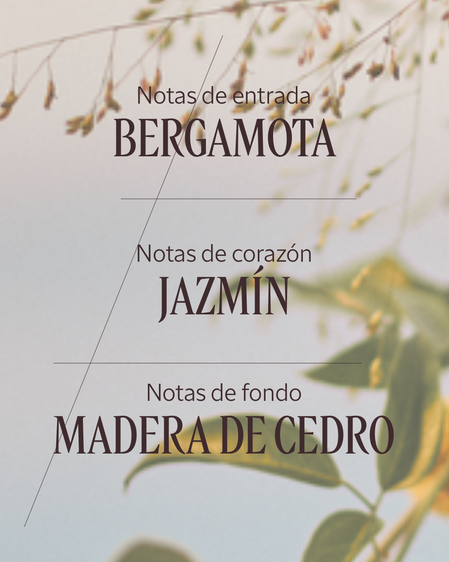 Vista 4/6 de Eau de Toilette Jasmin & Bergamote, , RECT