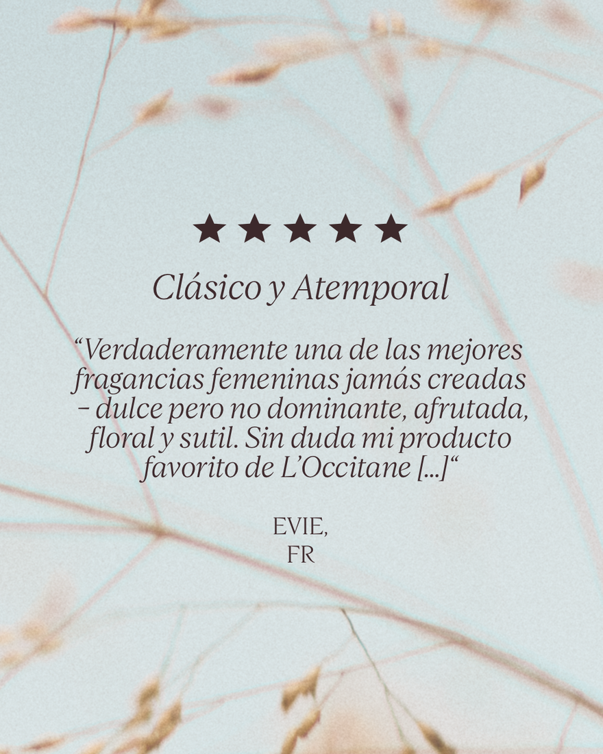 Vista 4/5 de Eau de Toilette Terre de Lumi&egrave;re, , RECT