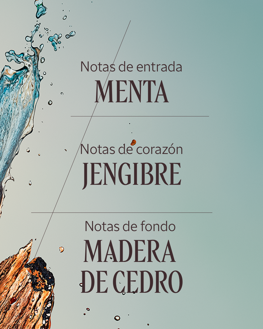Vista 4/7 de Eau de Toilette C&egrave;dre Gingembre (Cap C&eacute;drat), , RECT