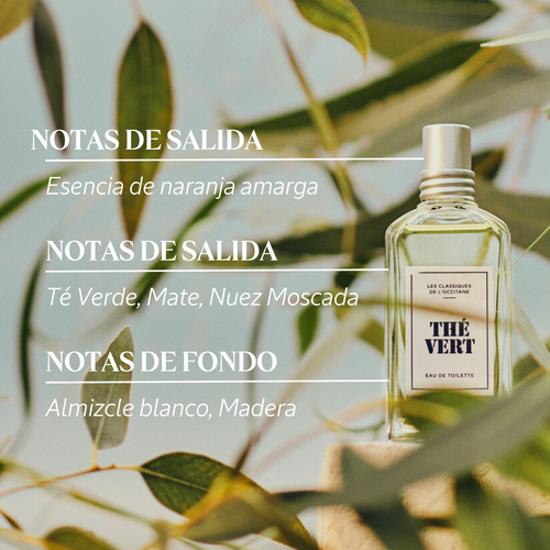 Thé Vert - Eau de Toilette Les Classiques | L'OCCITANE ES