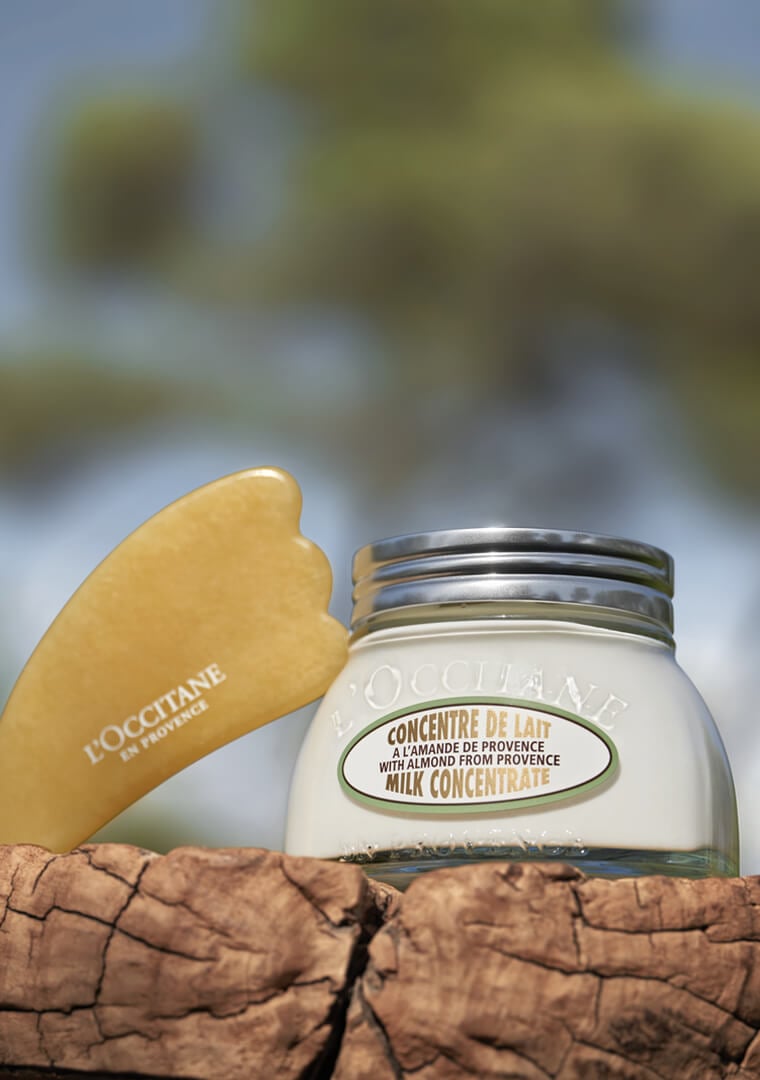 Concentrado de Leche Almendra